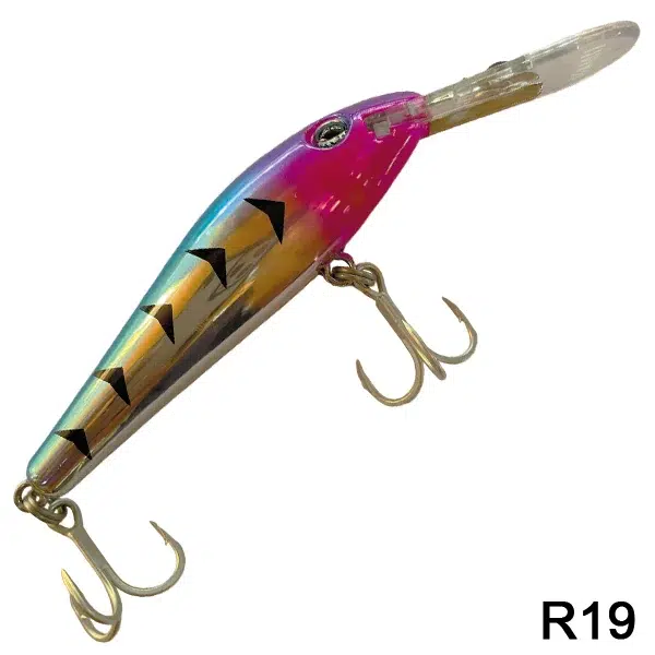 cansionpesca2594709