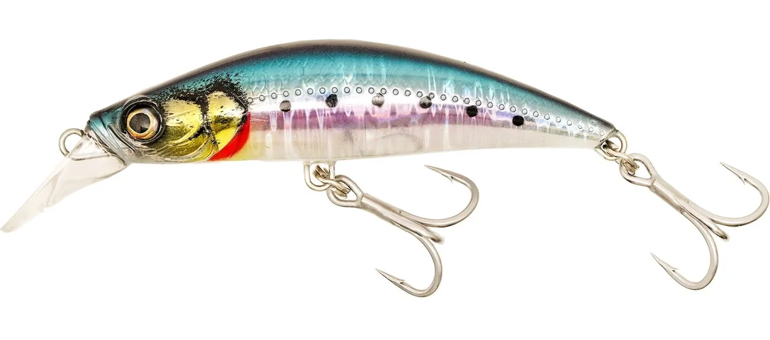 promopesca2614606