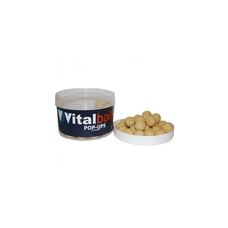 vitocarp2581751