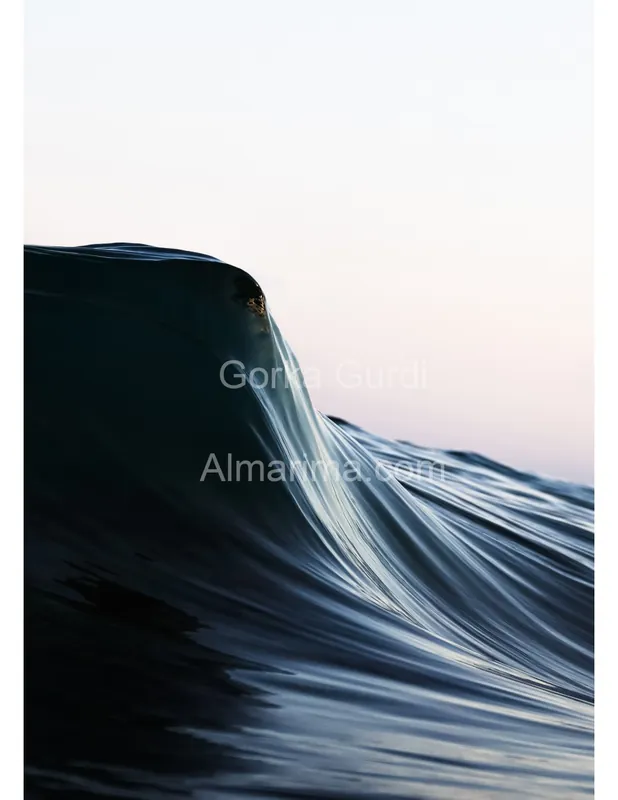 wave-harbor-22808683