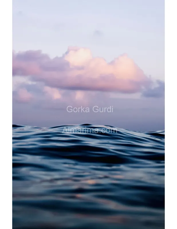 wave-harbor-22808704