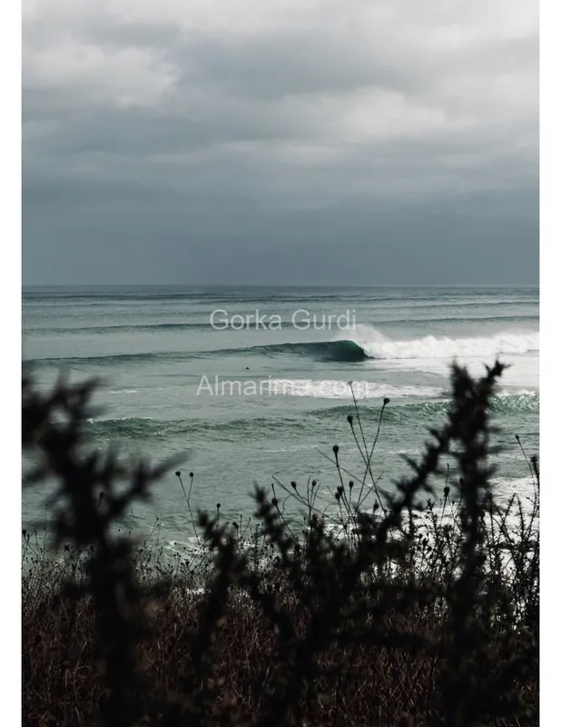 wave-harbor-22808766