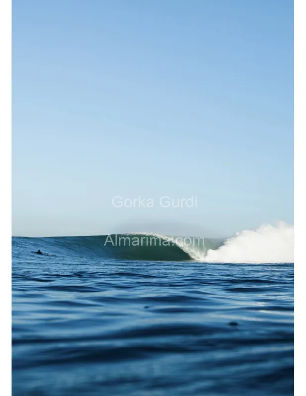 wave-harbor-22808789