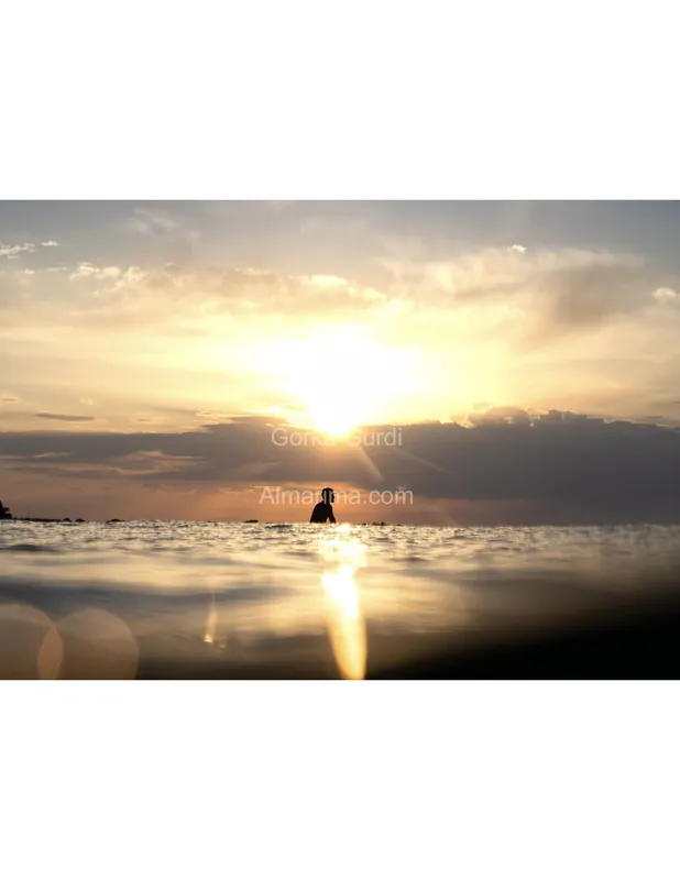 wave-harbor-22808822